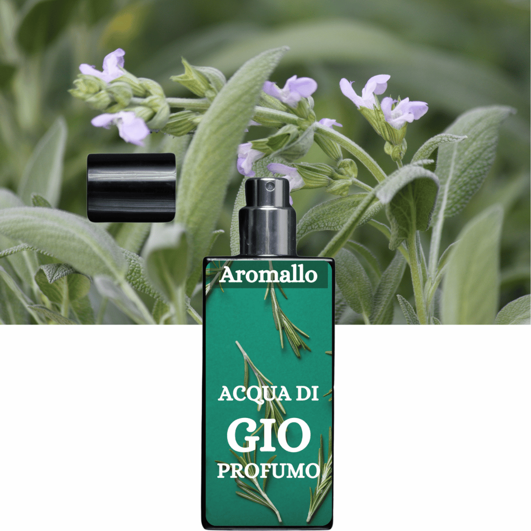 ACQUA DI GIO PROFUMO - Aromallo